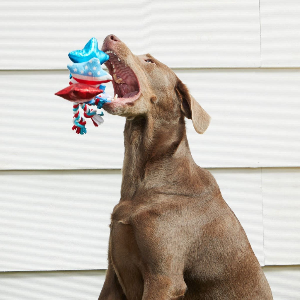 Star Spangles Plush Multi-Part Tug Dog Toy