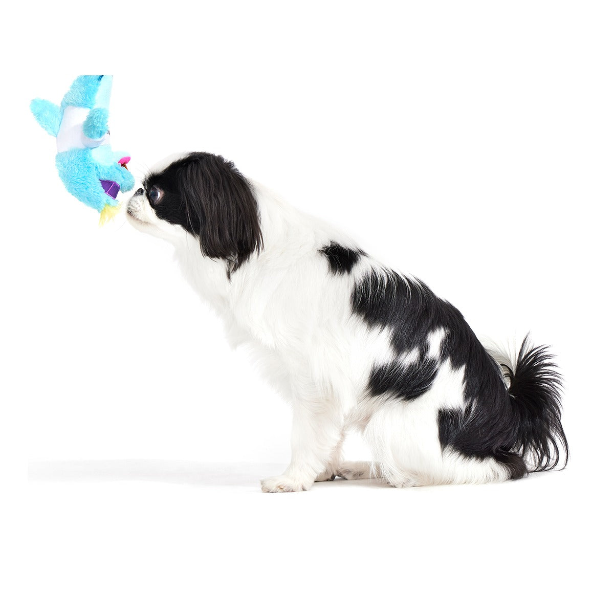Daddy Dolphin Plush Tug Dog Toy