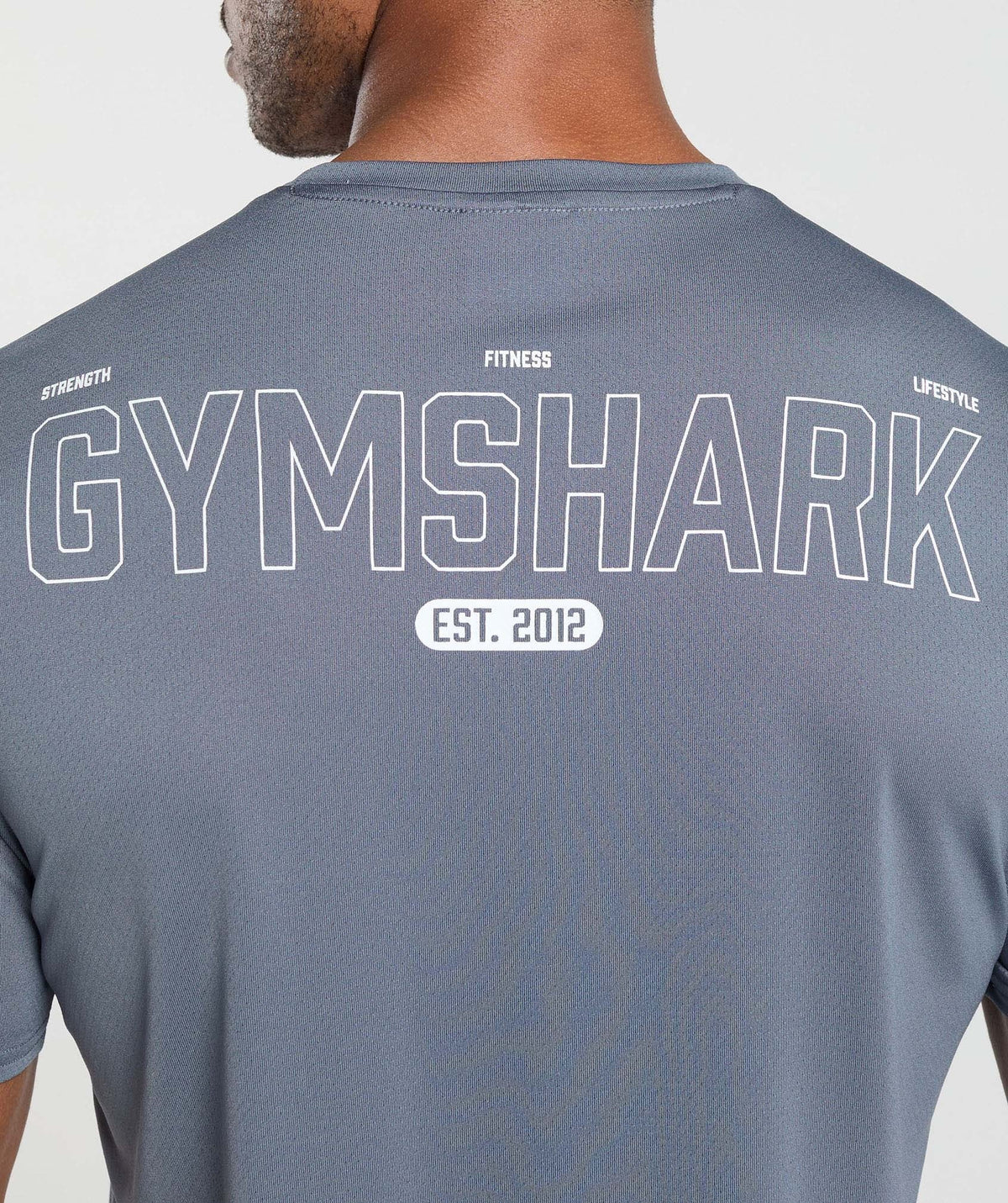 Gymshark Fitness Graphic Tee - Iron Blue