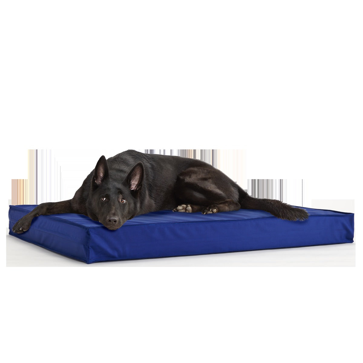Outdoor Dog Bed