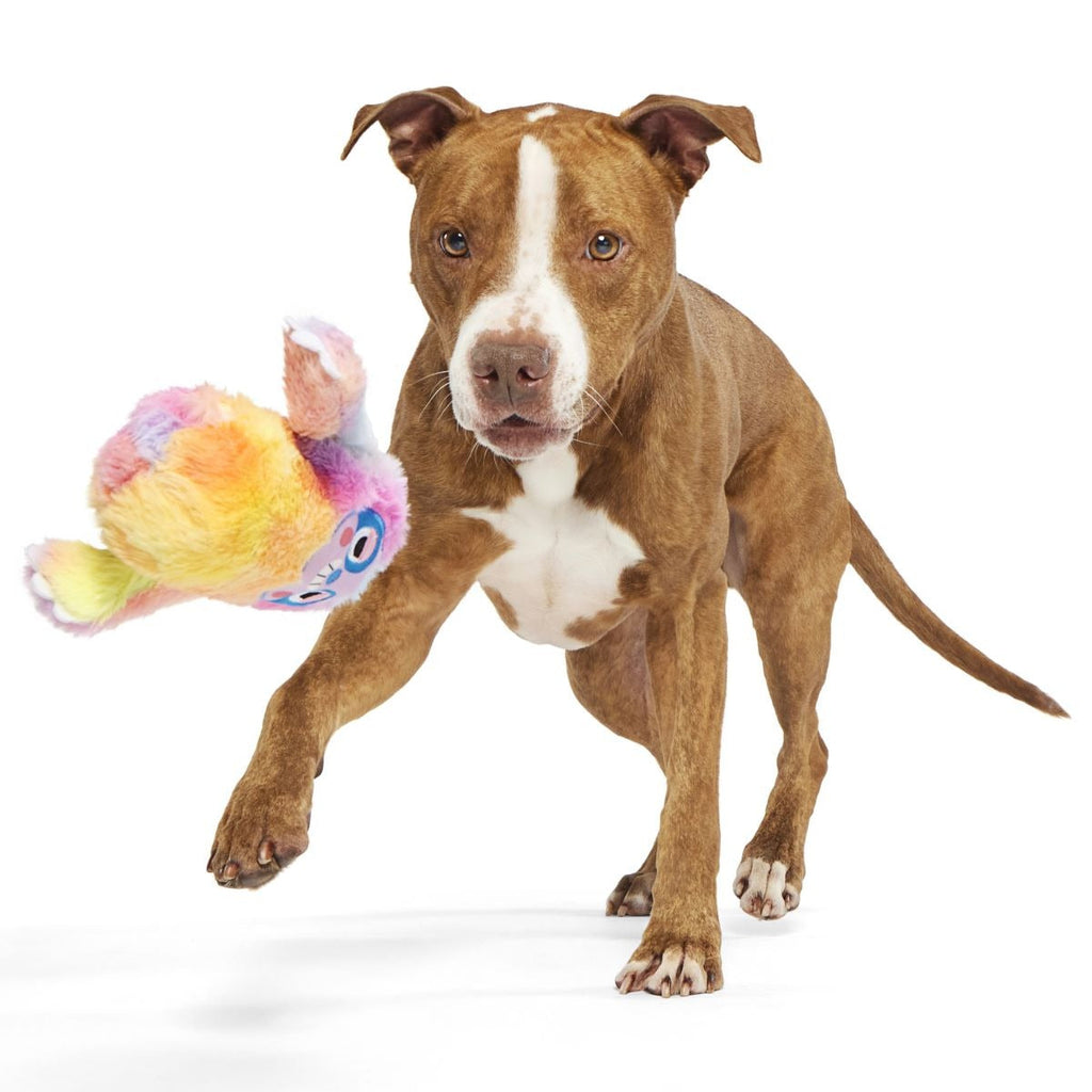 Grateful Ted Durable Super Chewer 2-in-1 Rip and Reveal + Fetch Dog Toy