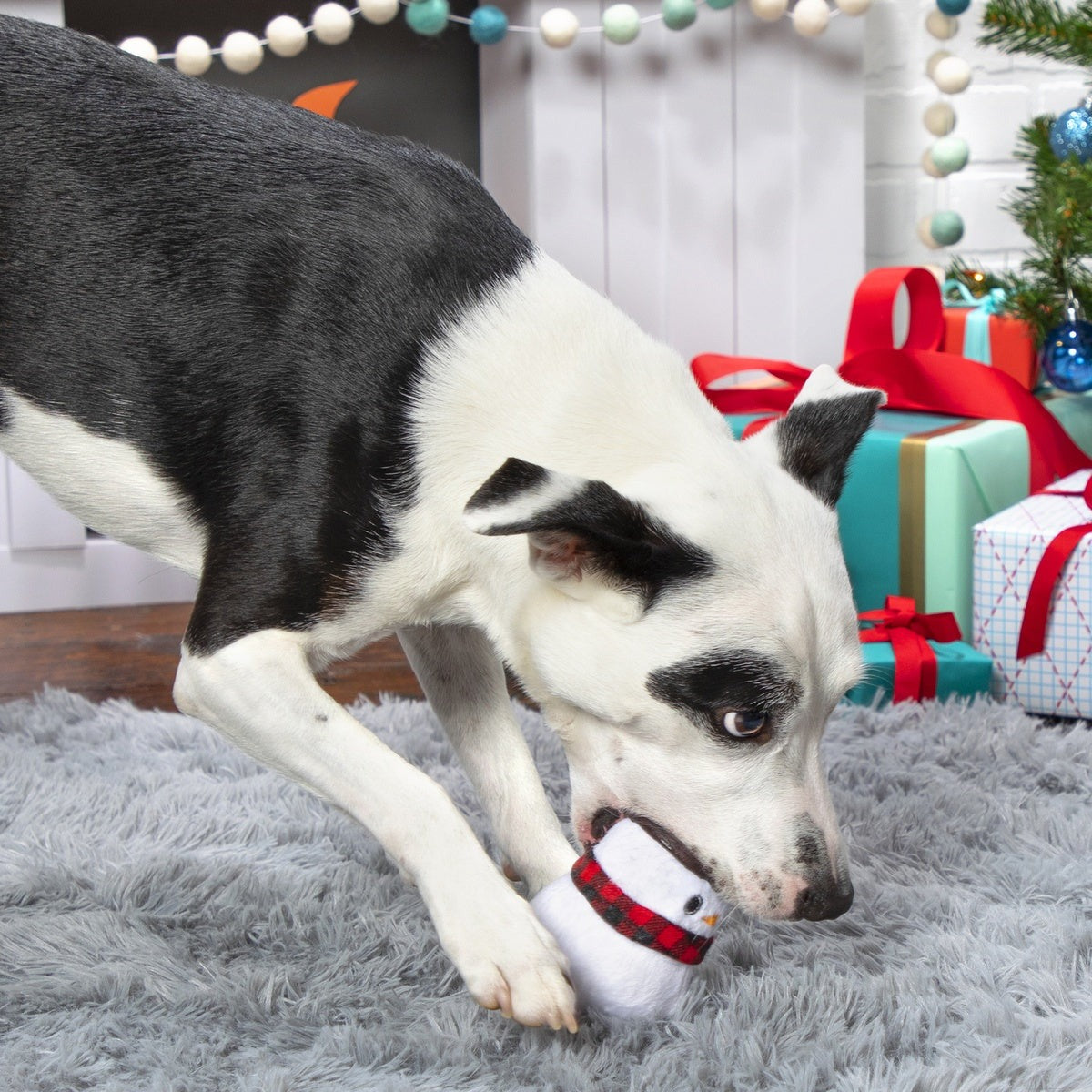 Frost Boss Durable Super Chewer 2-in-1 Rip and Reveal Dog Toy