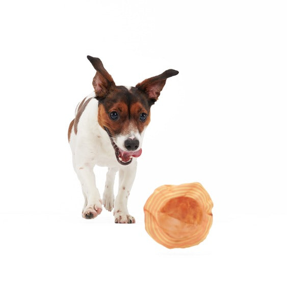 Flings Around Saturn Super Chewer Durable Fetch Dog Toy
