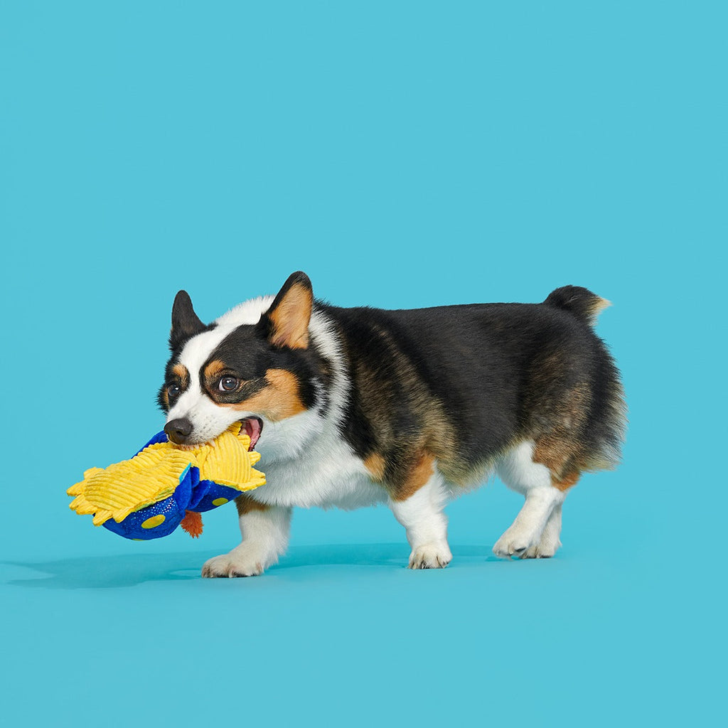 CeCe Slug Plush Tug Dog Toy