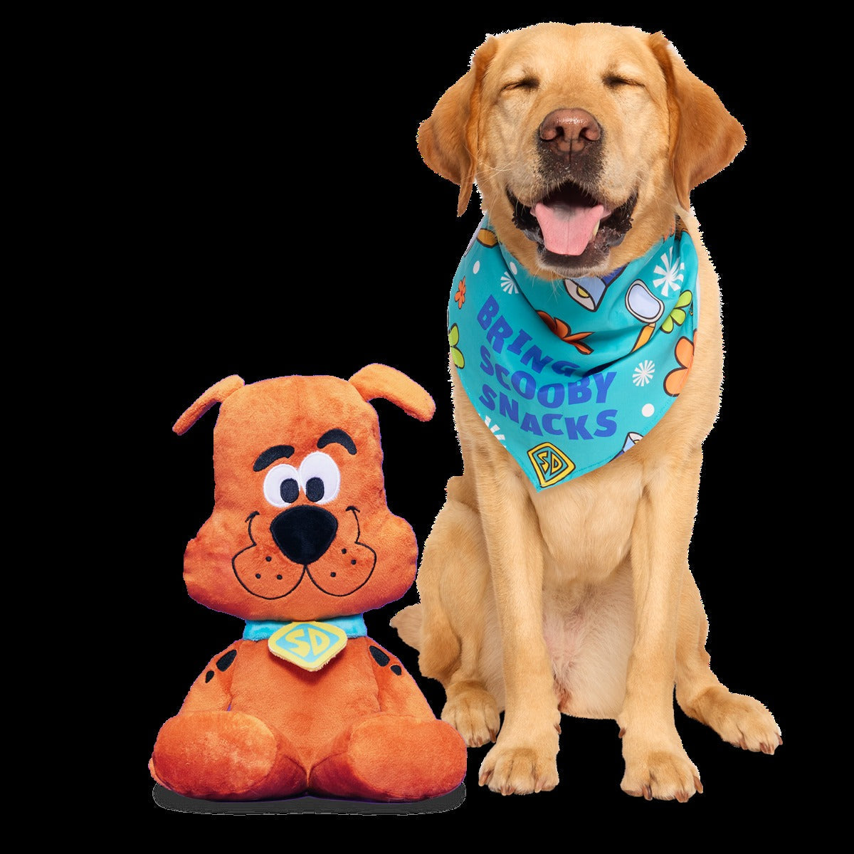 Scooby-DooTM Bundle