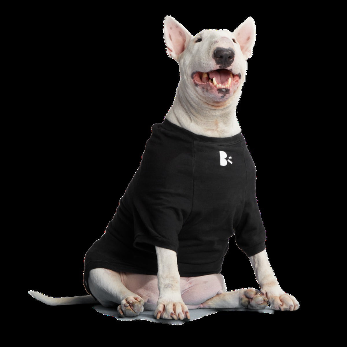 Anti-Squirrel Squirrel Club Dog Sweatshirt