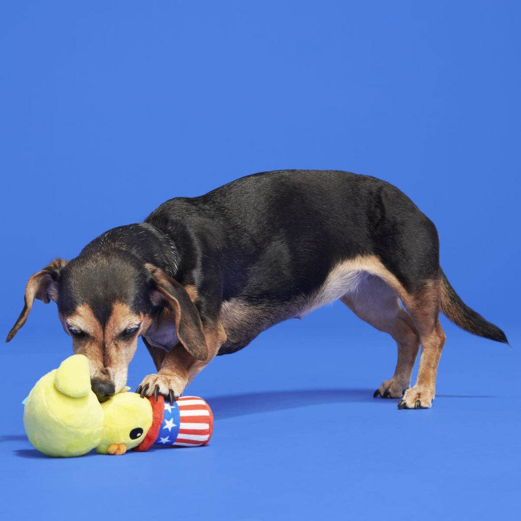 Uncle Duck Plush Tug Dog Toy