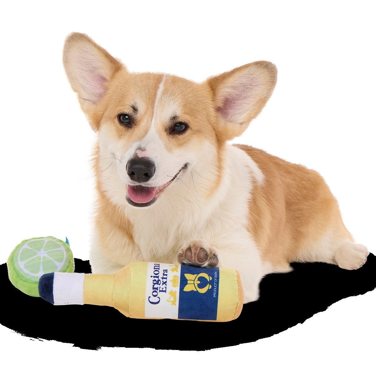 Corgiona With Lime Plush Multi-Part Dog Toy