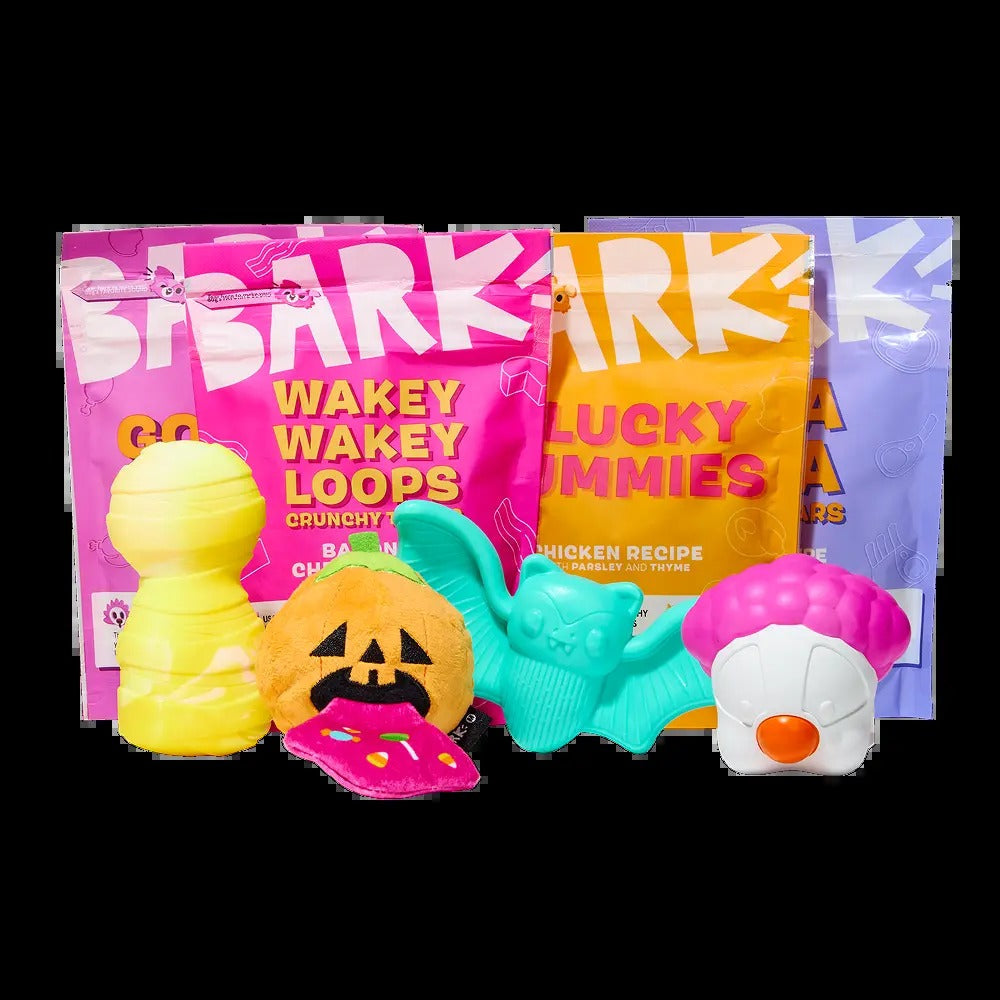 BARK Monthly Subscription + Cardboard Box