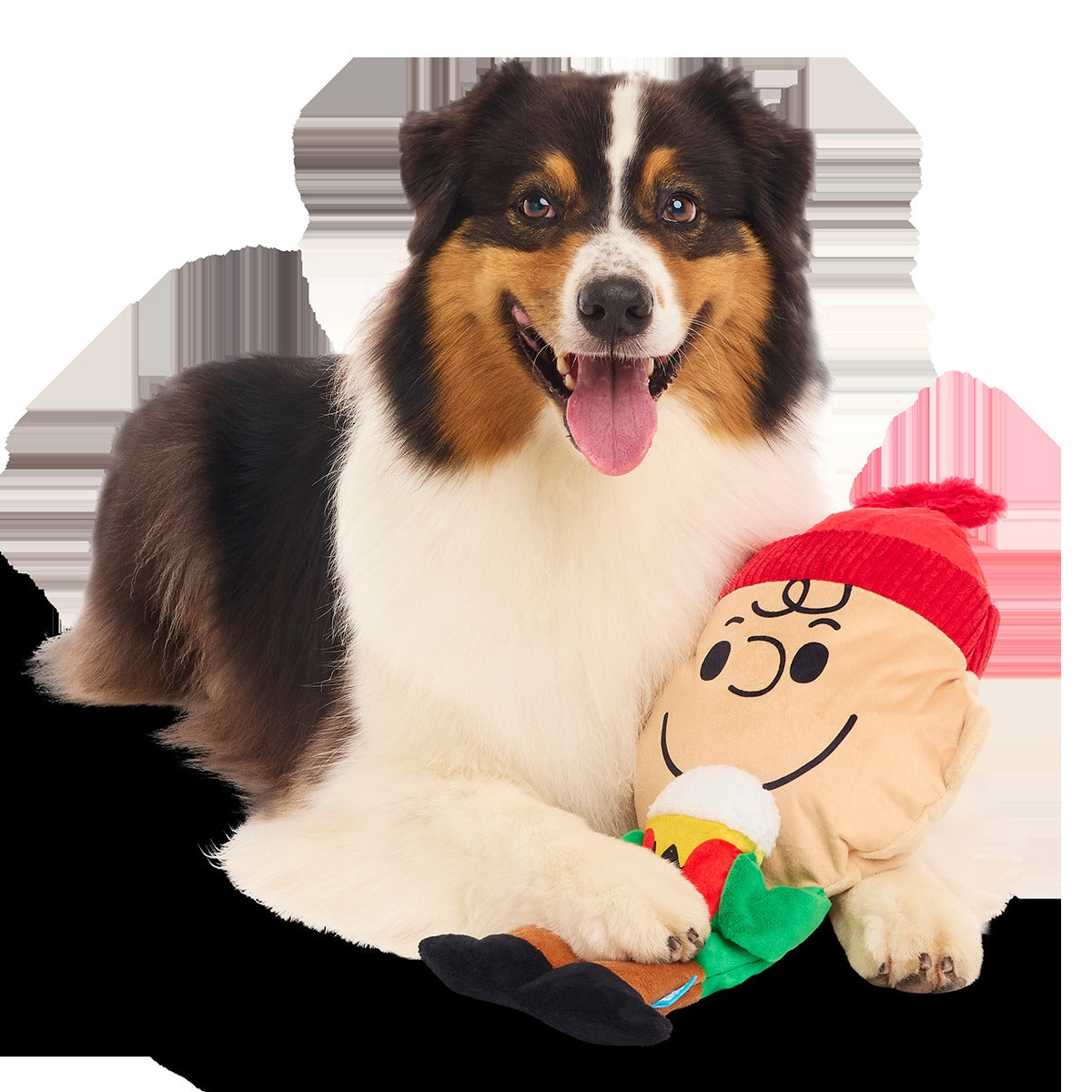 Hot Chocolate Charlie Brown Plush Extra-Large + Tug Dog Toy
