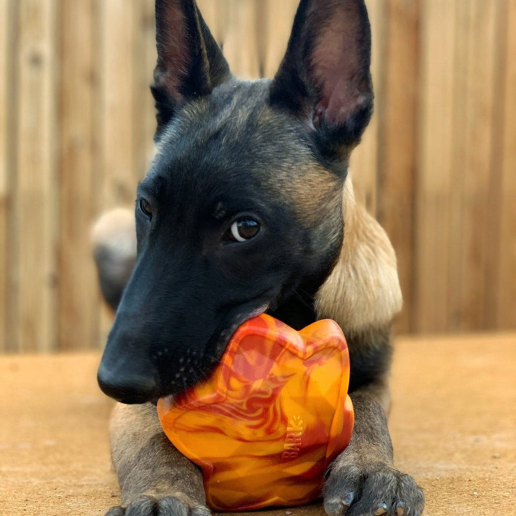 Mighty Maple Leaf Durable Super Chewer Gnaw Dog Toy