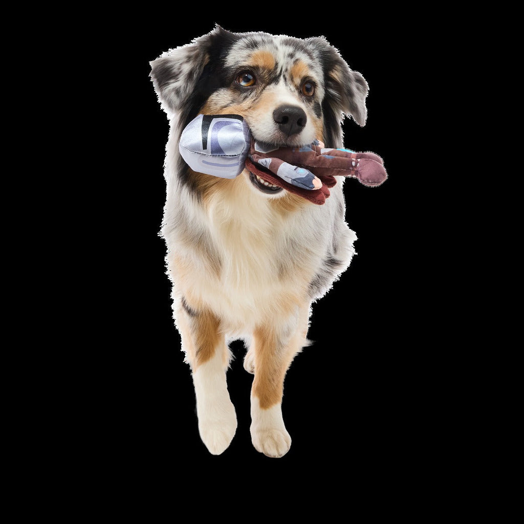 Din DjarinTM Plush Tug Dog Toy