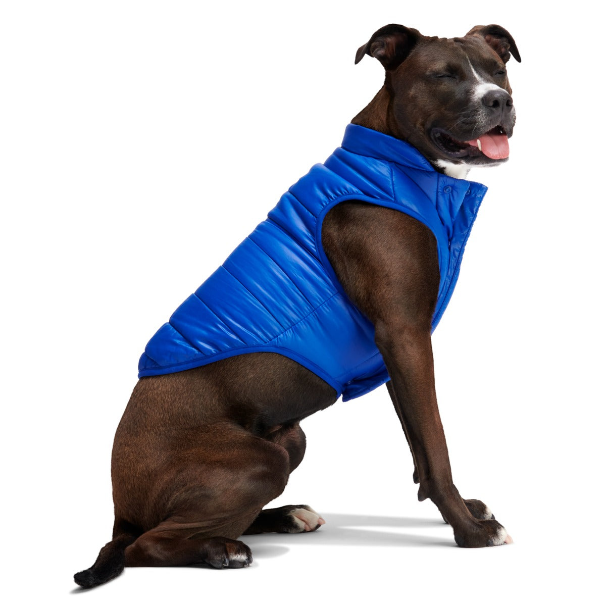 Puffer Dog Vest