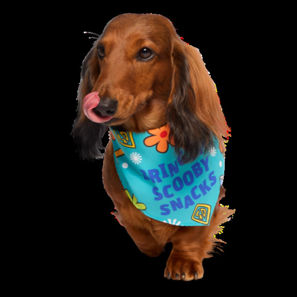 Scooby-DooTM Bundle