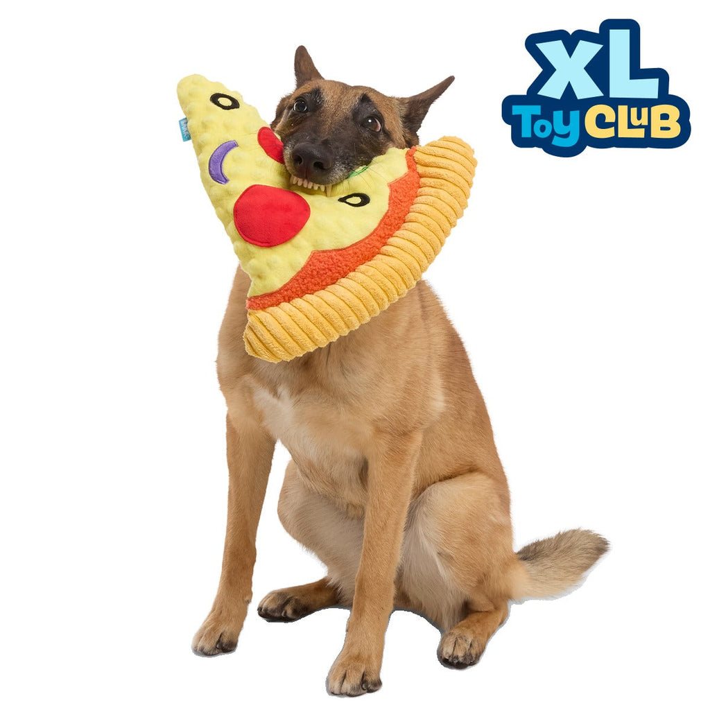 Extra-Large Toy Club, Monthly Plush XL Dog Toys