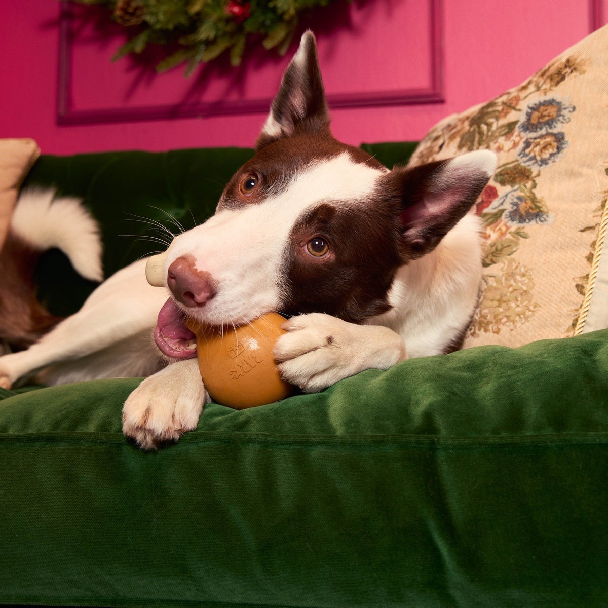 Turkey Day Drumstick Durable Super Chewer Gnaw Dog Toy