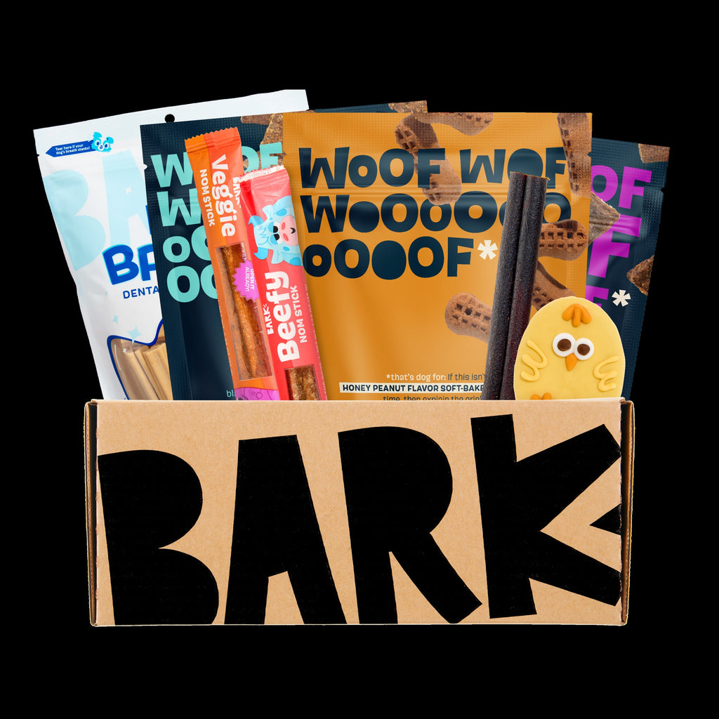 BARK Monthly Subscription