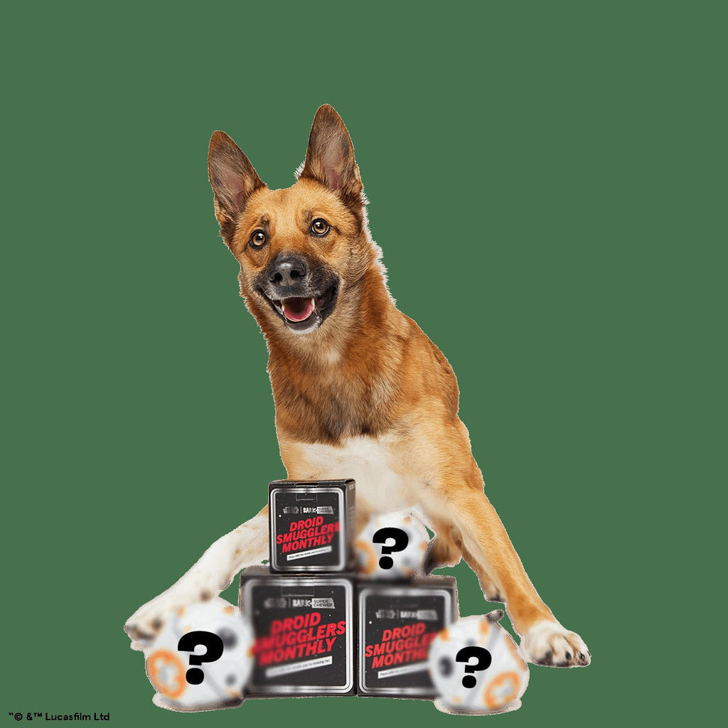 Star WarsTM Droid Smugglers Club, Super Chewer Durable Monthly Dog Toys