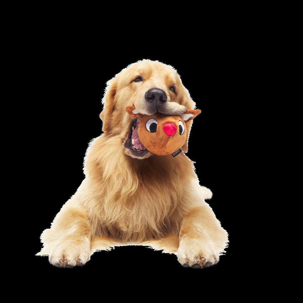 Rudolph® Holiday Super Chewer Gift Box