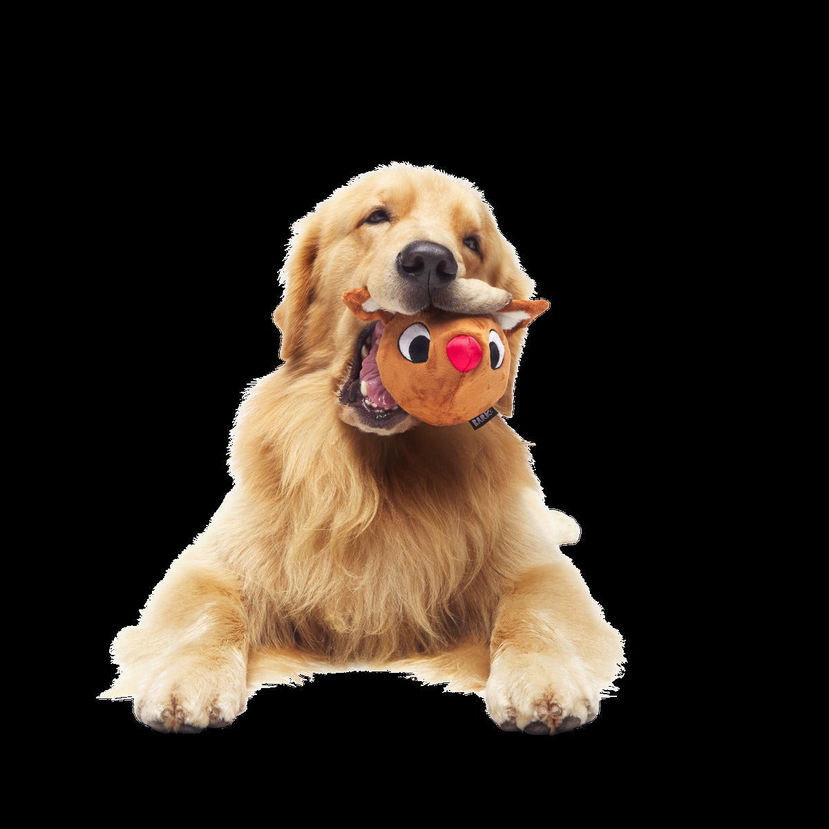 Rudolph® Holiday Super Chewer Gift Box