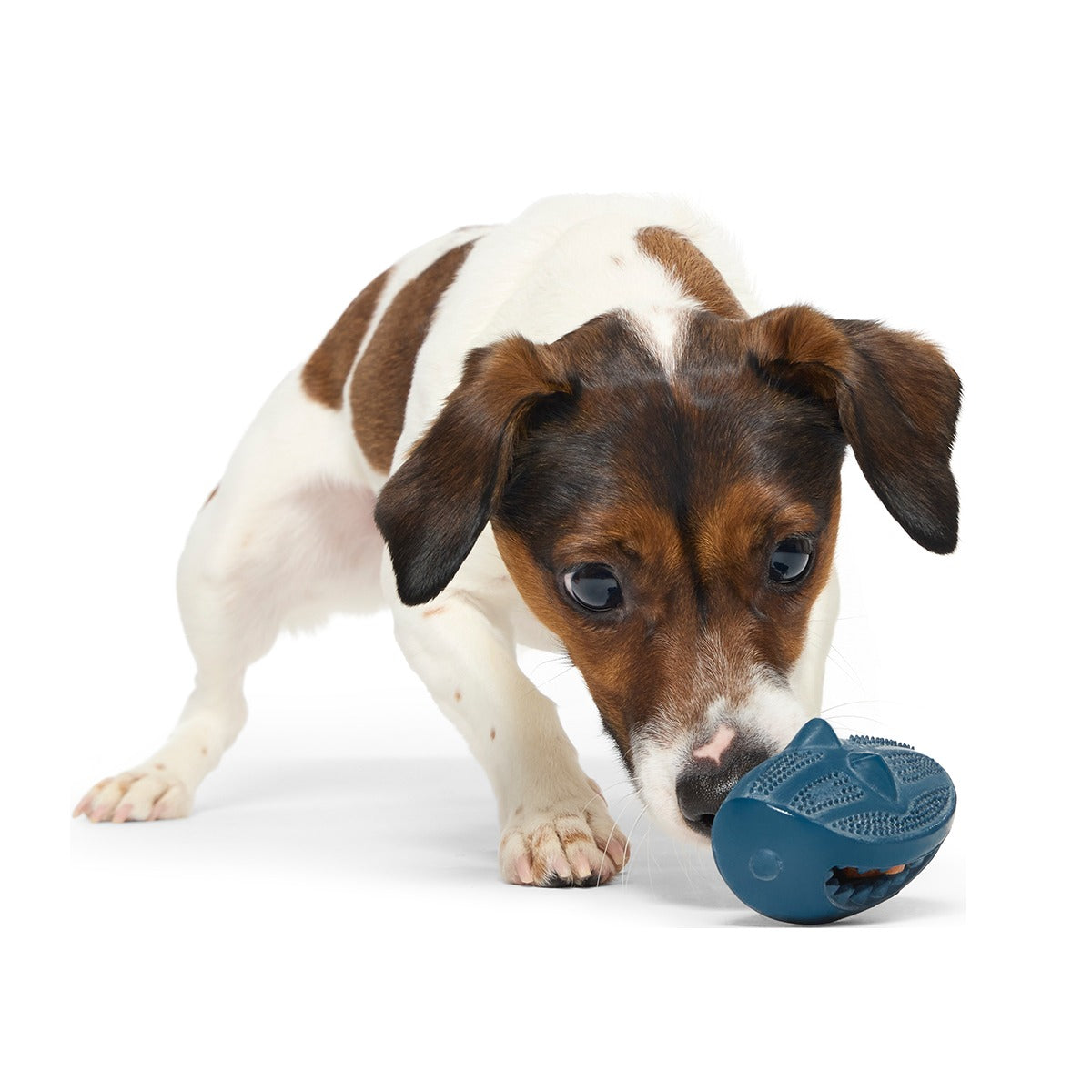 Hammer Fed Shark Super Chewer Durable Enrichment Dog Toy