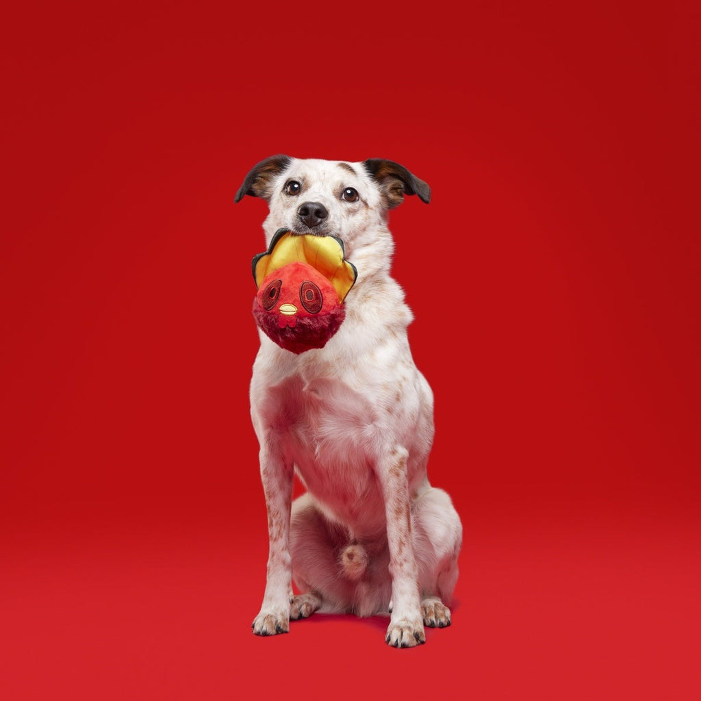 Tough Stuffed Turducken Durable Super Chewer 2-in-1 Rip and Reveal Dog Toy
