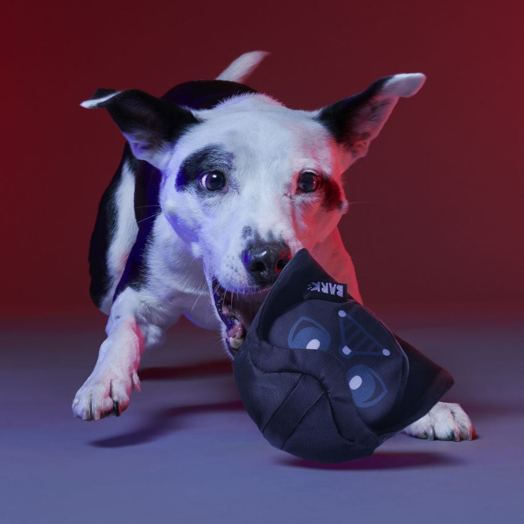 Power of the Bark Side Super Chewer Durable 2-in-1 + Fetch Dog Toy