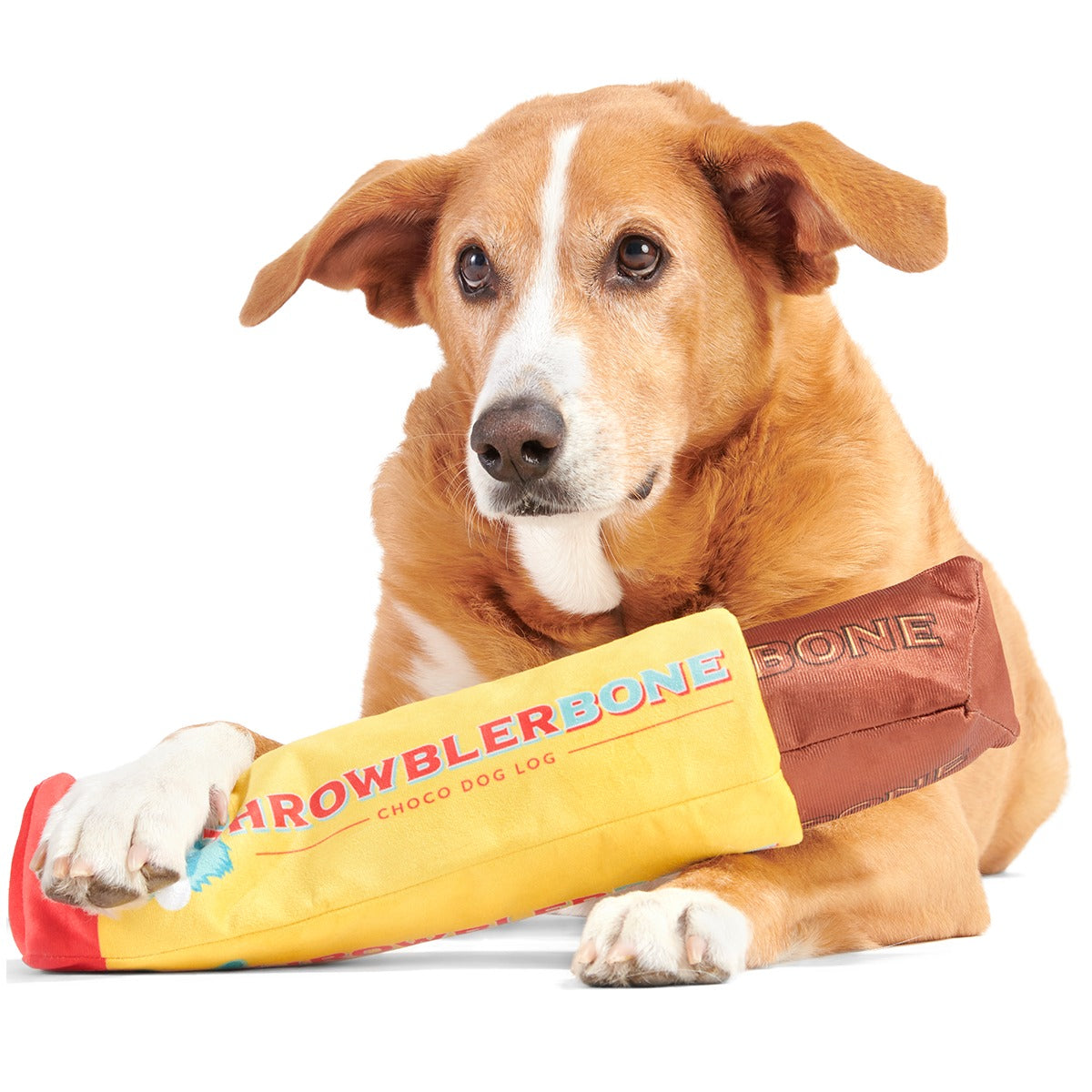 ThrowblerBone Plush Extra-Large + Multi-Part + Enrichment Dog Toy