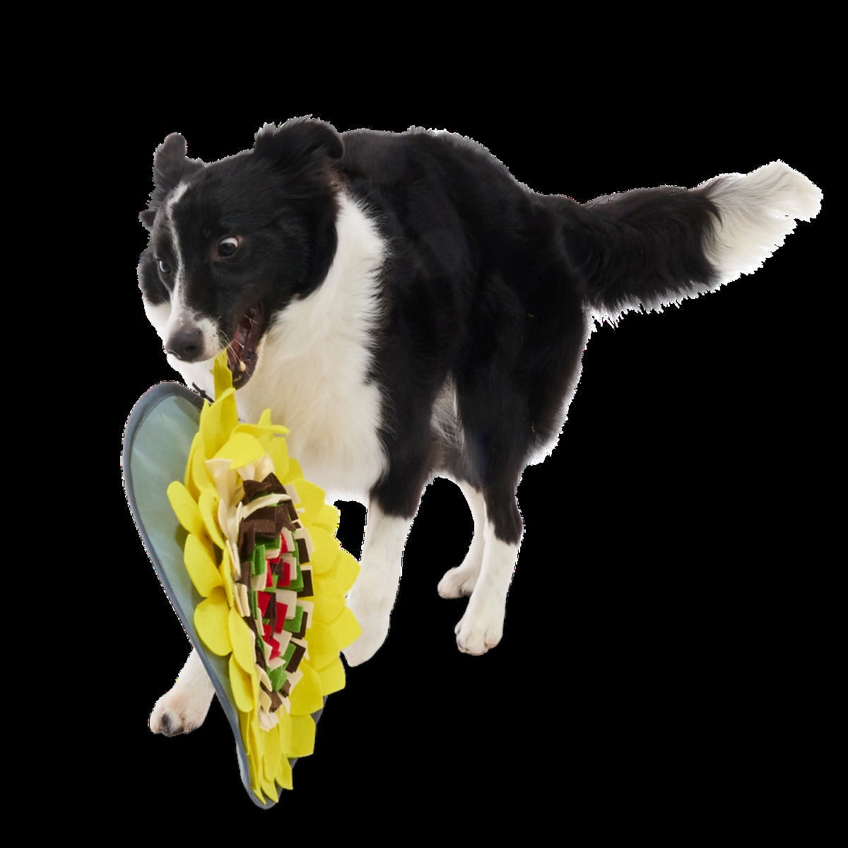 Nacho Dog's Snuffle Mat Plush Enrichment Dog Toy
