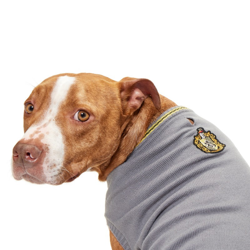 HARRY POTTERTM House Dog Sweater