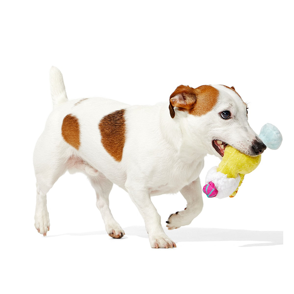 Cocktail Club, Plush Cocktail Monthly Dog Toys