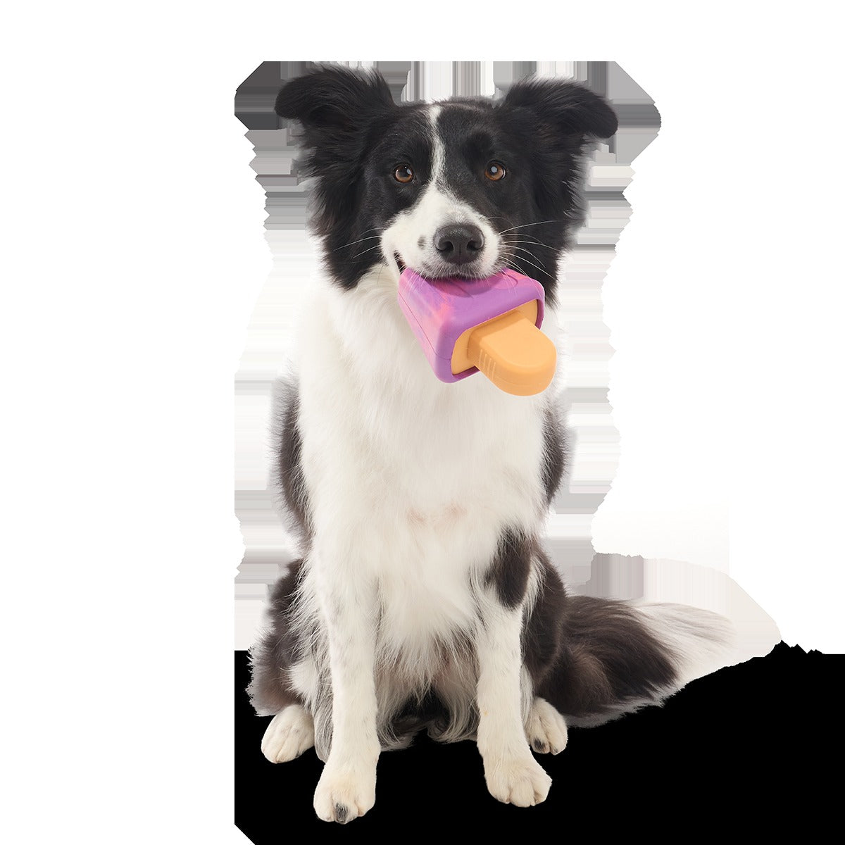 Chill N' Chomp Pupsicle Kit Super Chewer Durable Enrichment Dog Toy