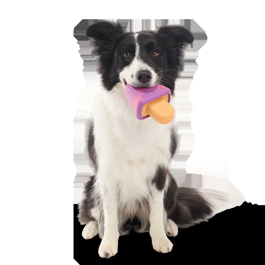 Chill N' Chomp Pupsicle Kit Super Chewer Durable Enrichment Dog Toy