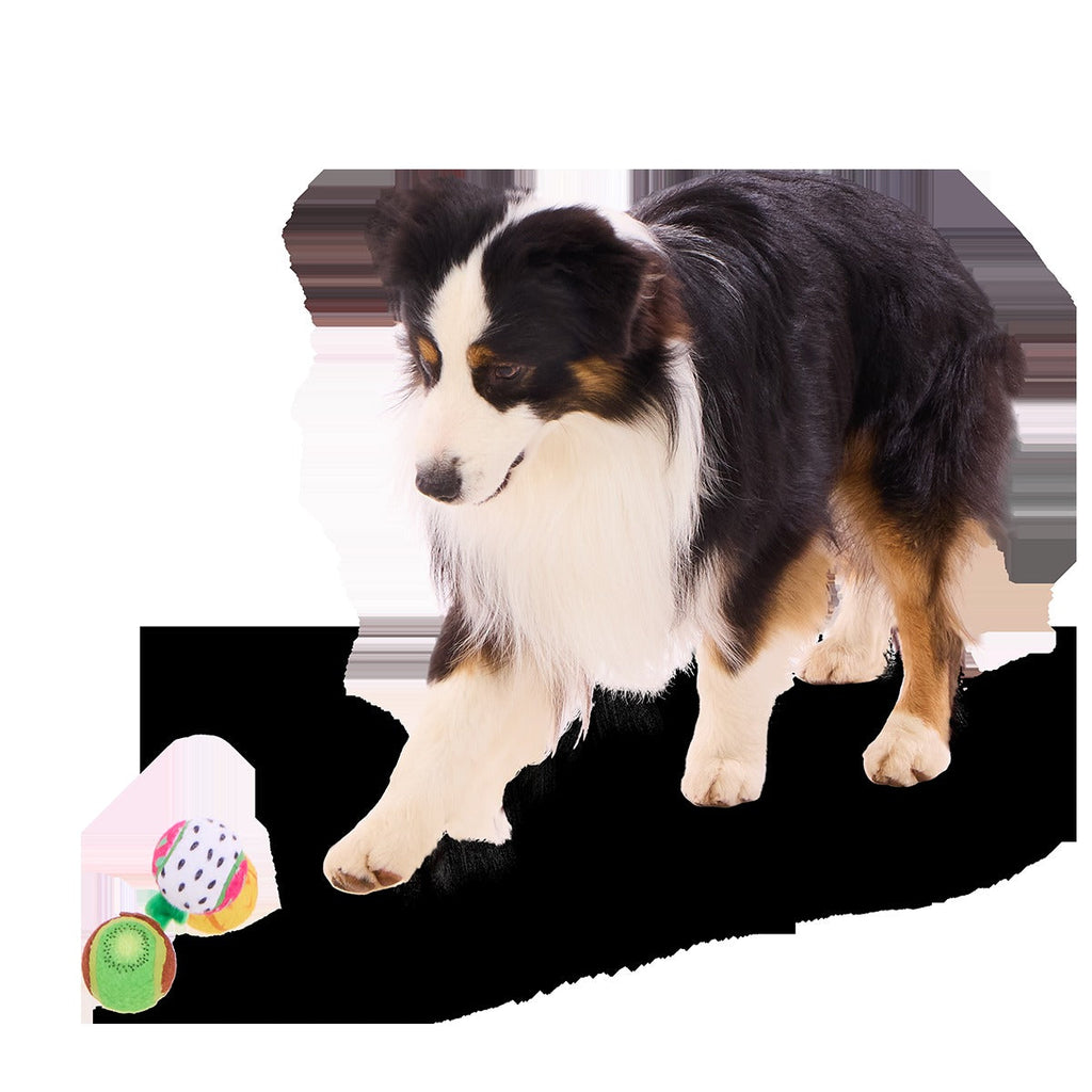 Tennis Ball Club, 3 Squeaky Monthly Tennis Ball Dog Toys