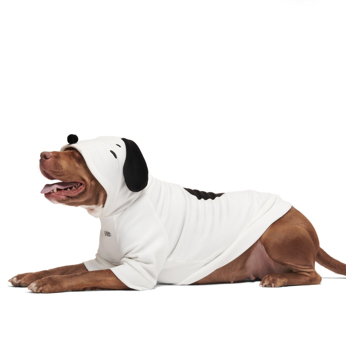 Snoopy Dog Hoodie