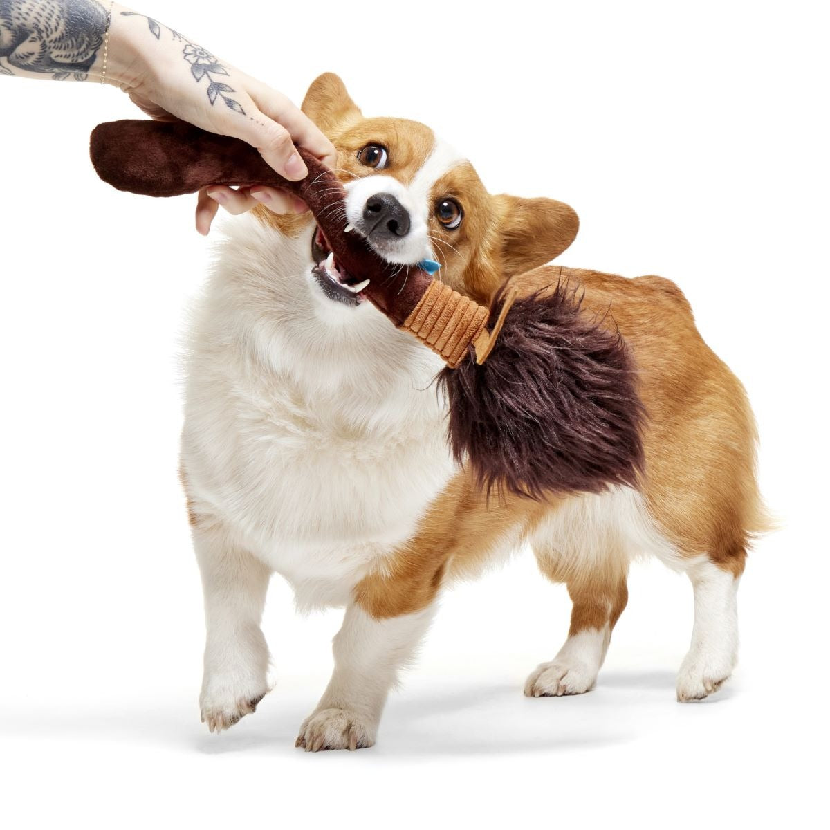 Nimbus 2000TM Broomstick Plush Tug Dog Toy