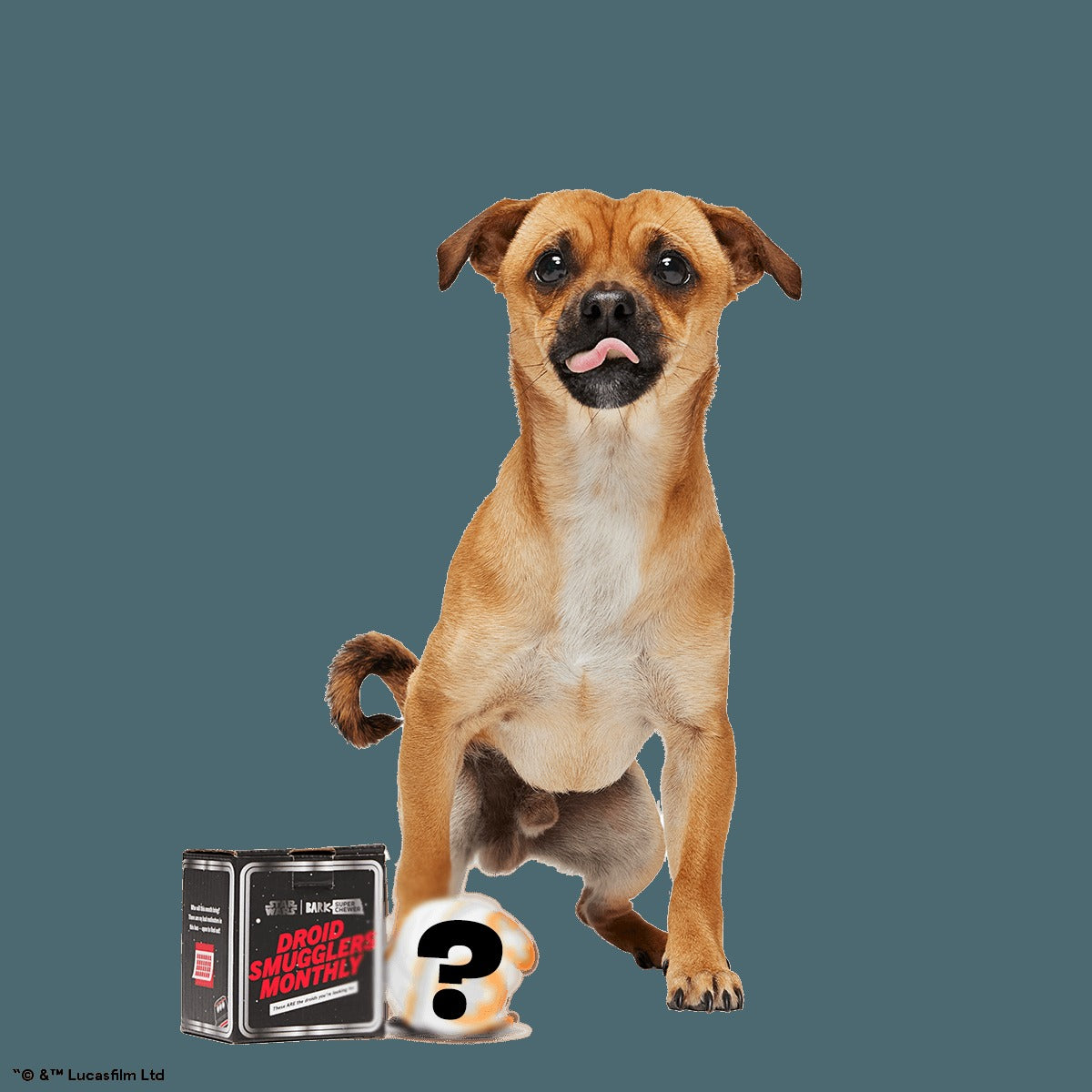 Star WarsTM Droid Smugglers Club, Super Chewer Durable Monthly Dog Toys