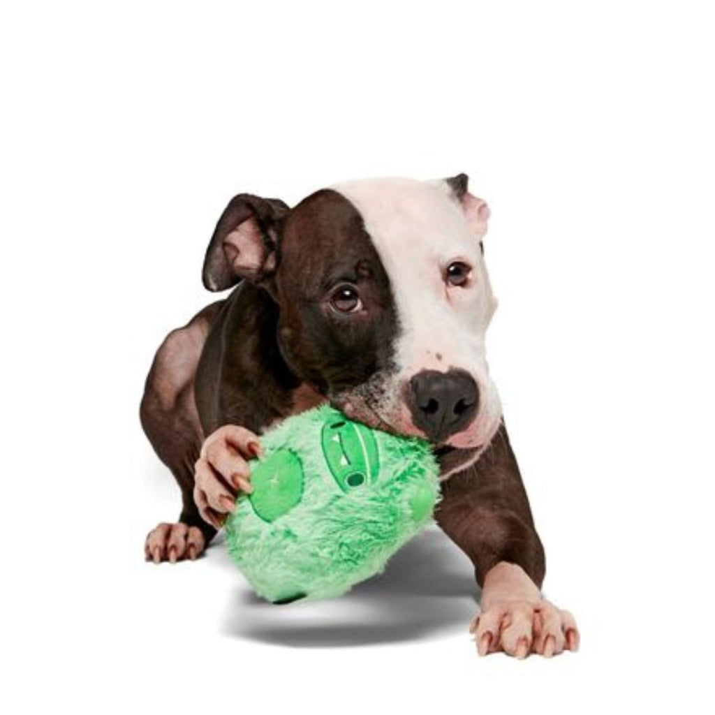 Jolly Green Ice Beast Durable Super Chewer 2-in-1 Rip and Reveal Dog Toy