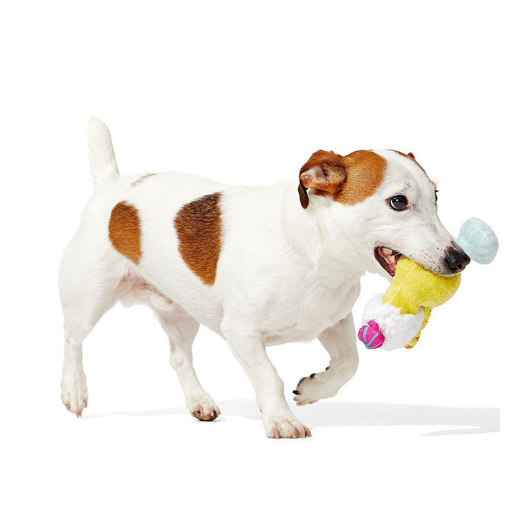 Cocktail Club, Plush Cocktail Monthly Dog Toys