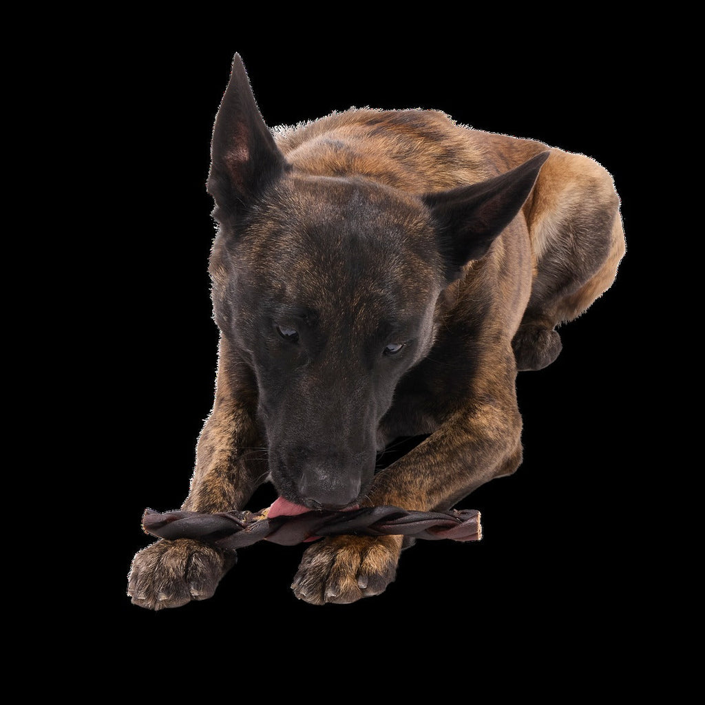 Beef Braided Collagen Dog Chews, 5 Ct