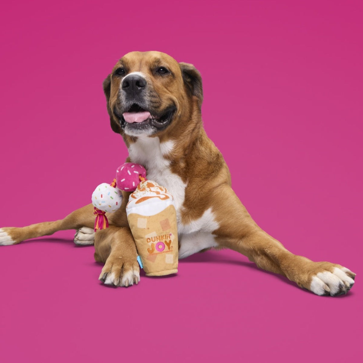 Dunkin'® Pumpkin Signature Latte Plush Tug Dog Toy