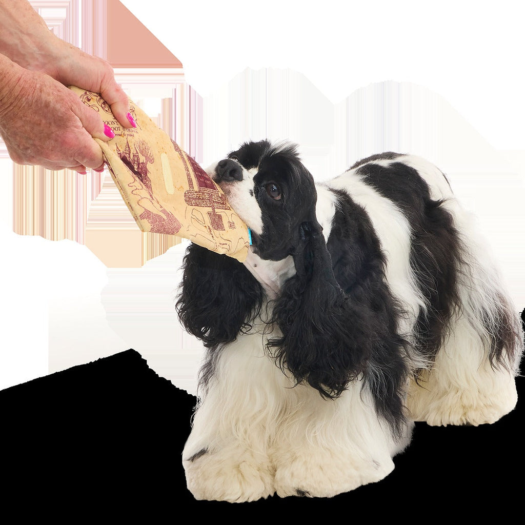 Marauder’s MapTM Plush Tug Dog Toy