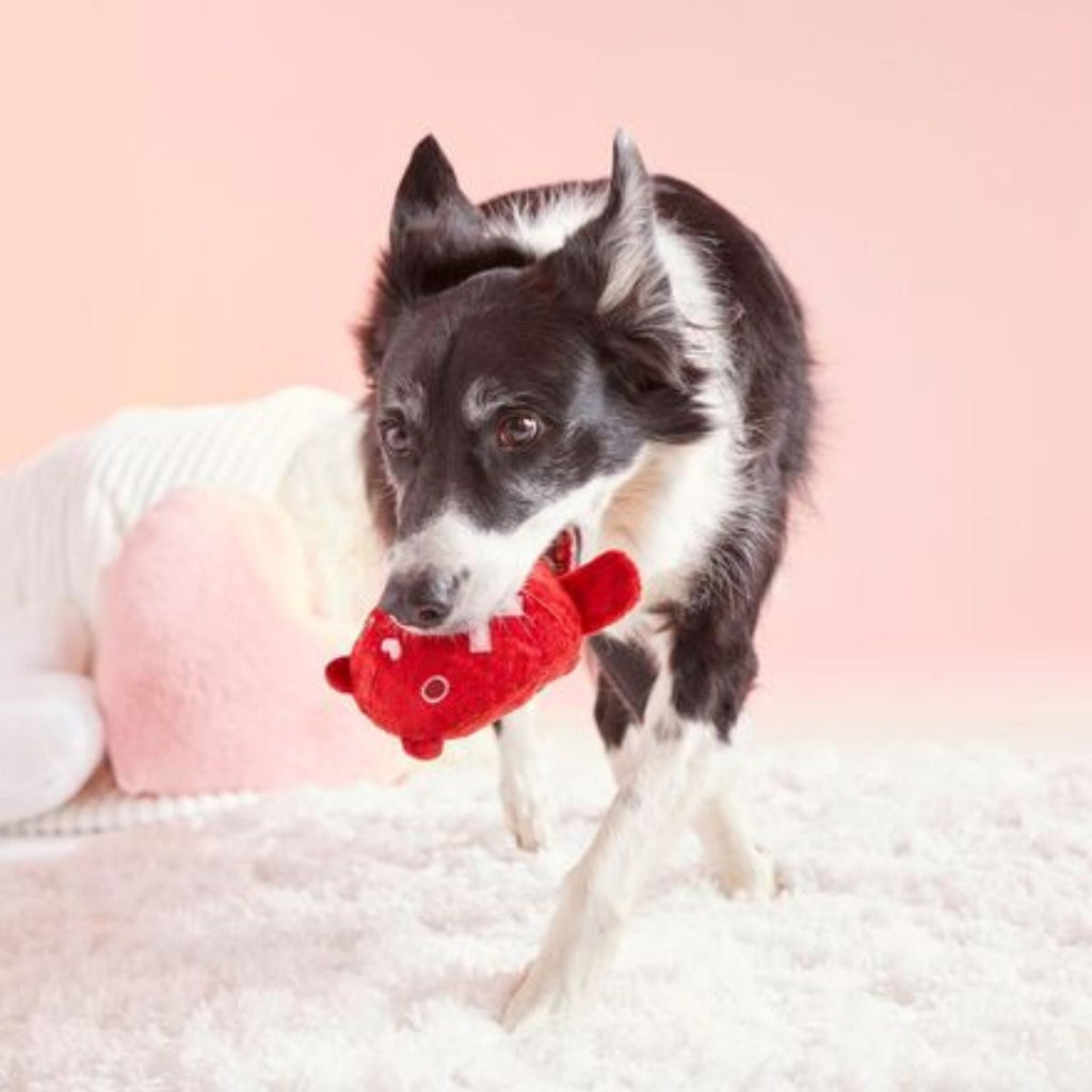 Bear Hugger Durable Super Chewer 2-in-1 Rip and Reveal + Enrichment Dog Toy