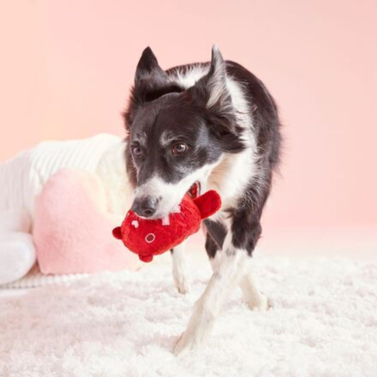 Bear Hugger Durable Super Chewer 2-in-1 Rip and Reveal + Enrichment Dog Toy