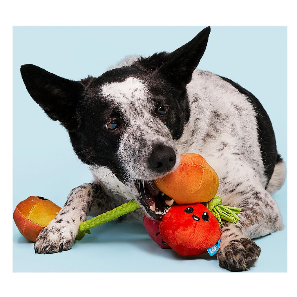 Hairloom Tomatoes Plush Tug Dog Toy