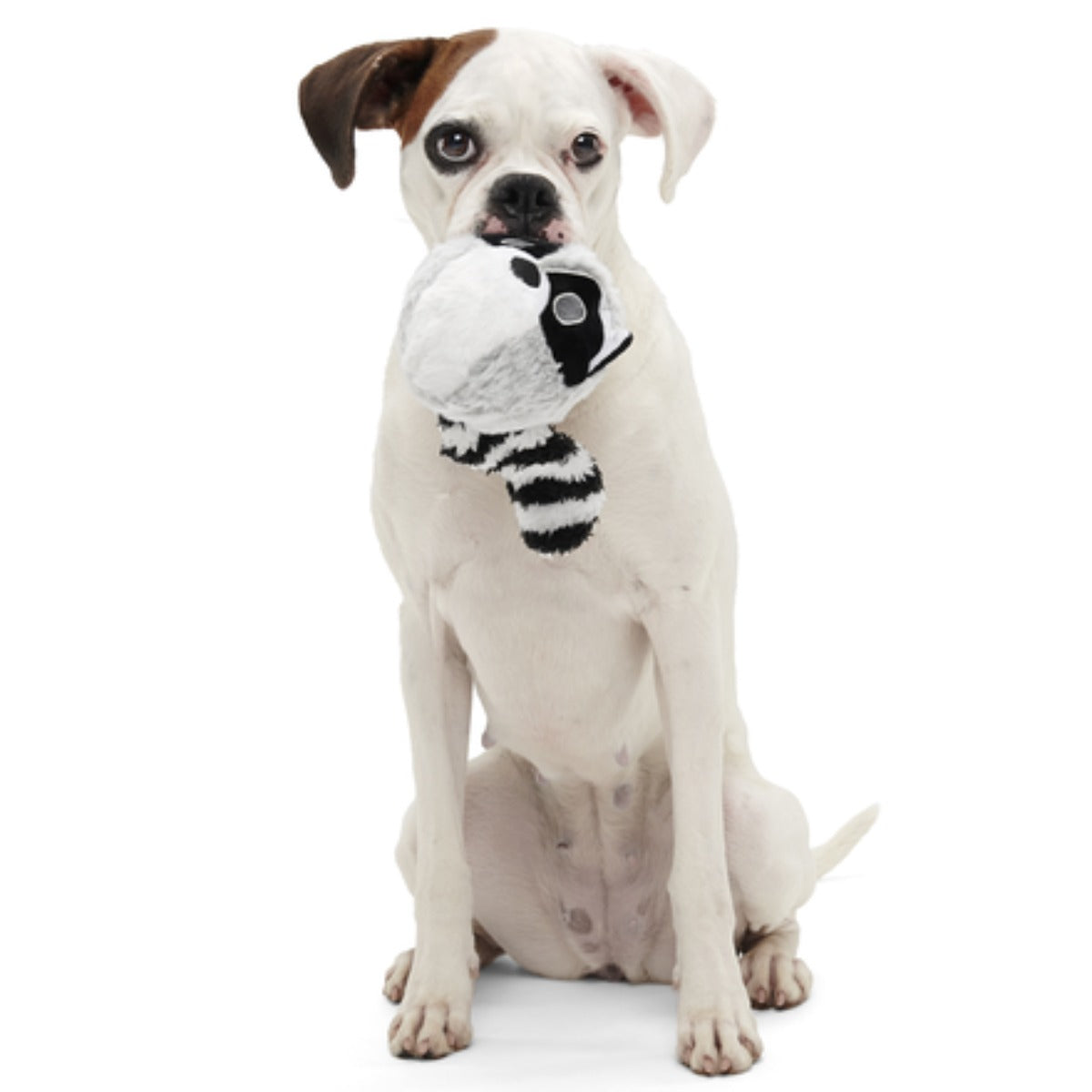 Thrash Panda Durable Super Chewer 2-in-1 Rip and Reveal Dog Toy