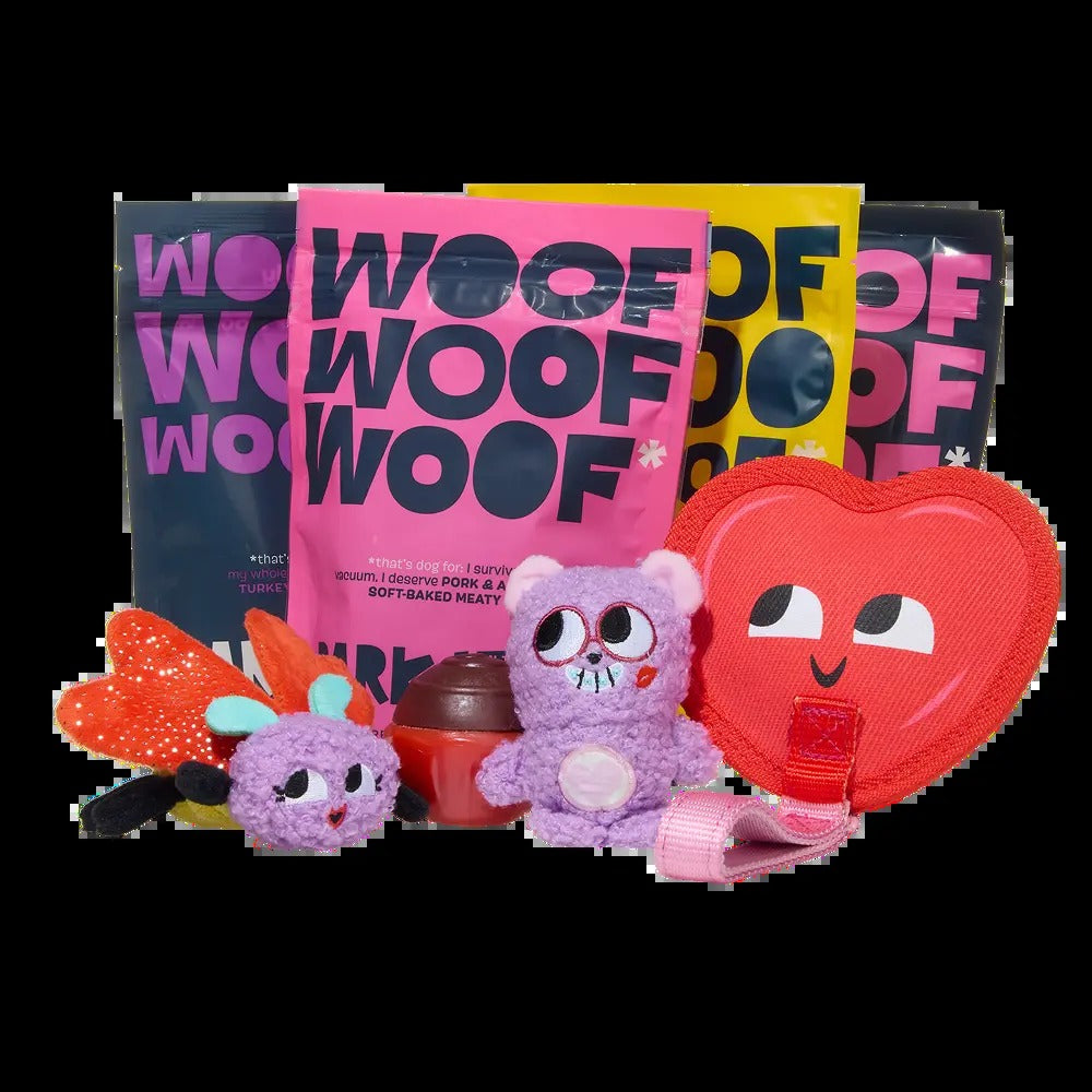 BARK 12 Month Subscription + Cardboard Box