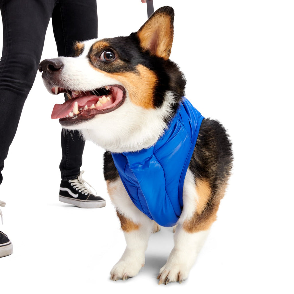 Puffer Dog Vest