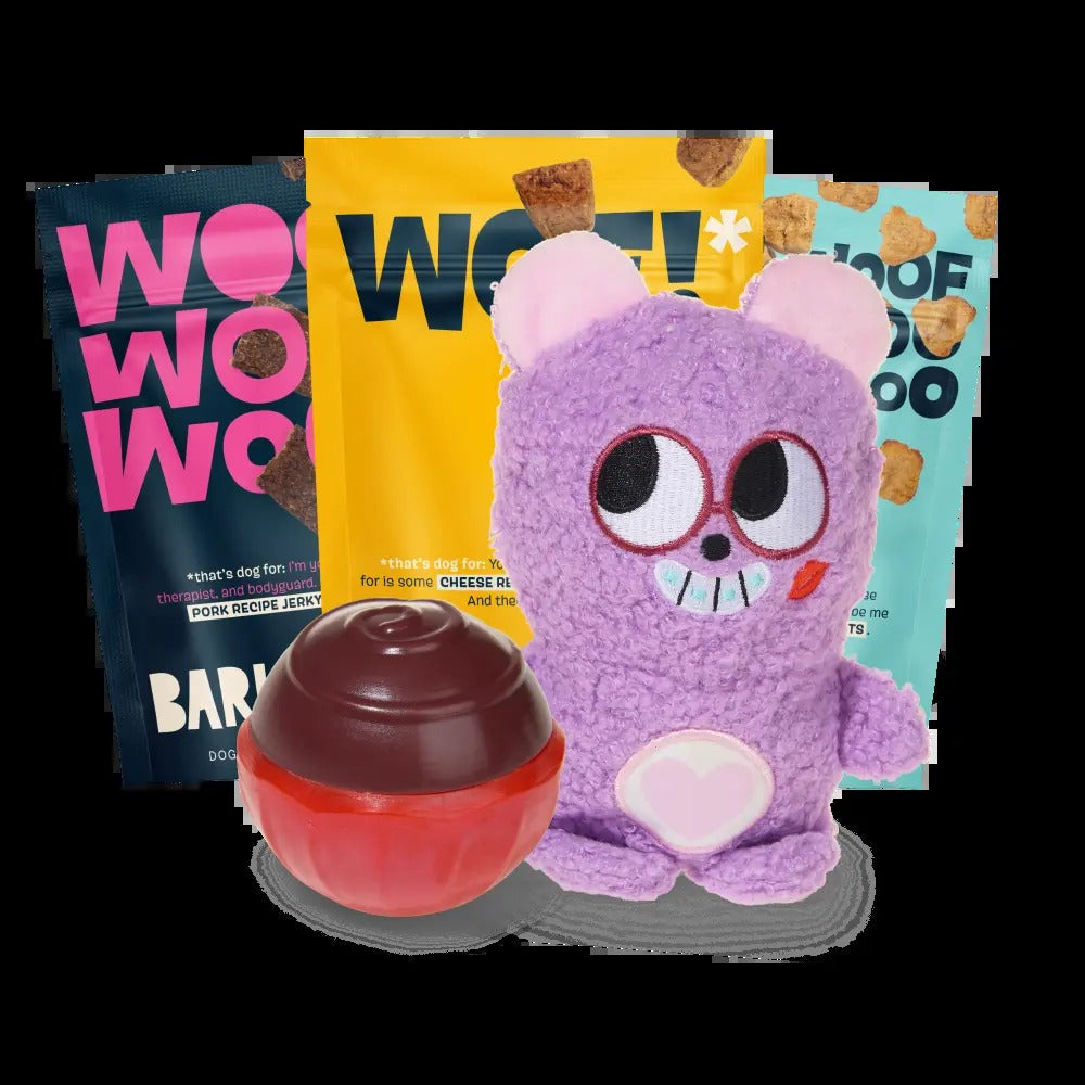 BARK 6 Month Subscription - FREE Extra Treats