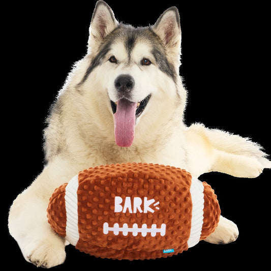 Wide Retriever Plush Extra-Large + Fetch Dog Toy